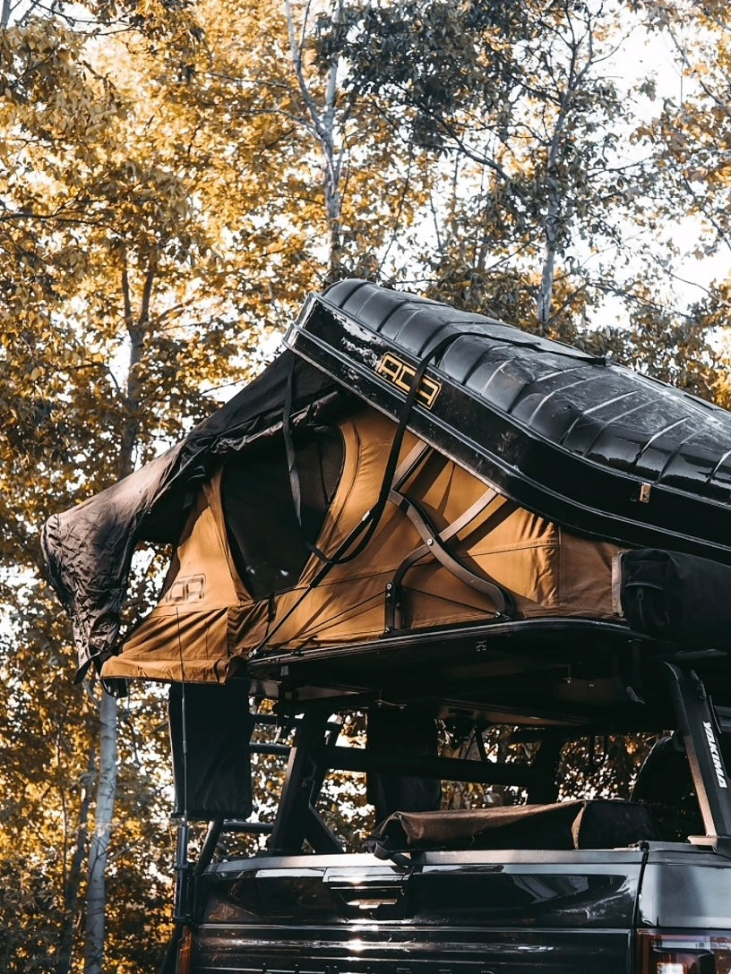 City Hunter – Ritter